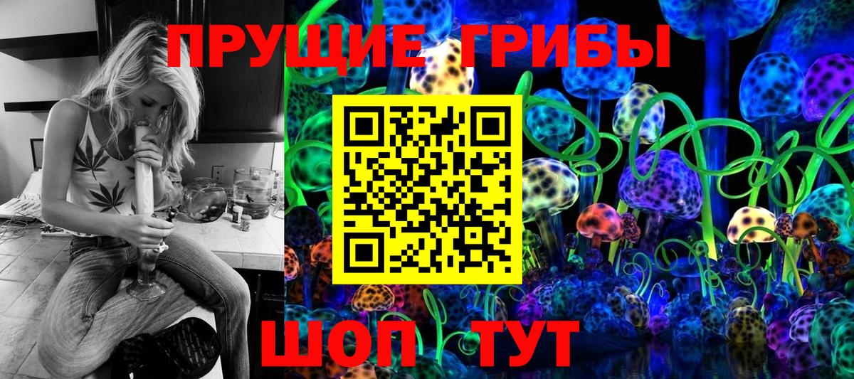Псилоцибиновые грибы прущие грибы Волгоград