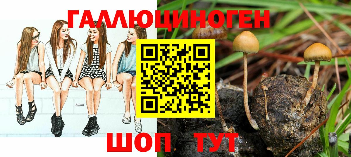 Волгоград  Галлюциногенные грибы Magic Shrooms  Вход с VPN  Псилоцибиновые грибы мицелий 